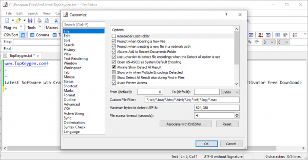Emurasoft EmEditor Professional Crack 22.2.7 With Serial Key